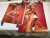 Two vintage Loni Anderson pinup posters laid side by side; one in white bikini, one in red swimsuit.
