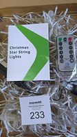 Photo showing the remote control with buttons and instruction booklet alongside string light wires.