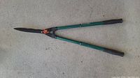 Full view of the hedge trimmers showing green extendable handles with black grips and closed black metal blades.