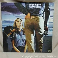 Front cover of Animal Magnetism vinyl LP showing man with binoculars, woman, and dog by sea under dramatic sky.