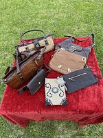 Seven pieces including various brown purses and handbags on red cloth outdoors
