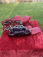 Grouped photo showing five ladies purses on a red cloth outdoors. Includes zebra print shoulder bag, red and tan hobo bag, dark red patent clutch, medium ostrich crossbody, and small quilted red crossbody.