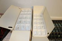 Two open boxes each containing white plastic trays with 15 clear rectangular prisms per tray