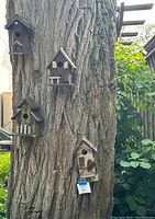 Five wooden bird houses mounted on a large tree trunk in outdoor area shown from a wide view.