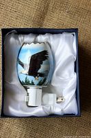 Eagle-themed night light in box with white satin-like lining, showing eagle in flight painted on oval shade attached to white plug-in base