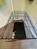 Top-down angle showing the full black metal wire dog crate folded out with plastic tray and white water bottle inside.