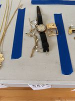 Overview of watch, necklaces, ring, buckle, stick pin.