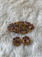 Photo showing the full set of Austrian brooch and matching clip-on earrings on a light fuzzy background, highlighting the colors and design.