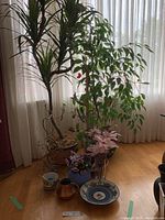 Wide view of tall artificial plants in pots with various smaller decorative pots and bowls at base placed beside window with sheer curtains.