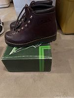 Pair of dark brown women's hiking boots with white and brown laces on green Scarpa for Fabiano branded box.