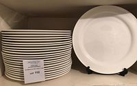Stack of 23 plates with one plate displayed on a stand