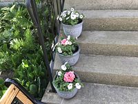 Three grey flower pots with decorative leaf pattern containing white petunias and pink geraniums placed on concrete stairs with greenery around.