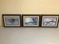 Photo showing all three arranged framed wildlife prints.