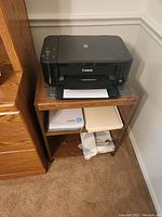 Front view of Canon PIXMA MG 3600 printer on wood laminate stand with paper and ink visible below