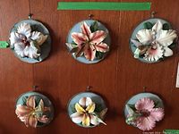 Eight Bradford Exchange floral collector plates mounted on wood, each plate approx 6.5 inches, featuring 3D flowers and birds with blue backgrounds.