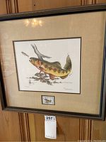 Full view of framed print and stamp featuring a wild trout with label and number 257.