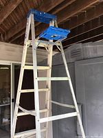 Full view of the aluminum ladder showing 6 steps, blue top cap, and tool tray under a wooden ceiling.