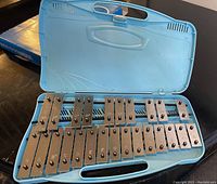 Blue plastic case open showing silver-plated metal bars of the glockenspiel arranged in two rows with note letters stamped on some bars