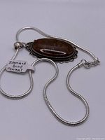 Full view of dinosaur bone pendant on 18-inch silver snake chain with a label.