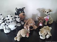 Seven stuffed dog plush toys displayed together on a dark surface against a plain wall, showing variety of colors and sizes.