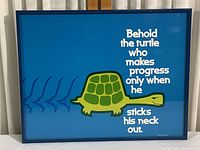 Full view of the framed poster with turtle graphic and text, showing overall condition and frame colors.