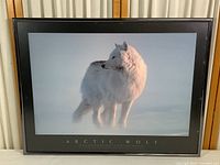Framed poster print showing Arctic Wolf standing and looking back, with text ARCTIC WOLF on bottom border.