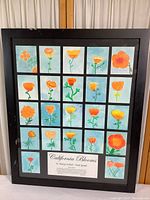 Full view of the framed collection of 24 watercolor paintings depicting California poppies, arranged in a grid under glass with a black wooden frame showing some damage.