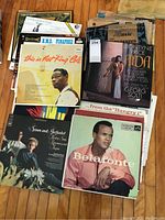 Photo showing a selection of vinyl records including Leontyne Price, Simon and Garfunkel, Nat King Cole, and Harry Belafonte albums arranged overlapping on a surface.