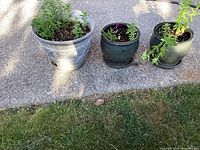 Three outdoor potted plants consisting of one large light gray pot with medium green plant and two smaller dark green ceramic pots with green plants.