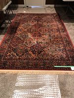 Full view of rug on carpeted floor showing overall pattern and ivory fringe edges