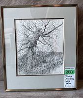 Framed limited edition print showing the full artwork, matting, and frame with the MaxSold label on the corner indicating artist, size, and edition number.