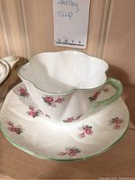 Front and top view of Shelley tea cup and matching saucer with pink rose floral pattern and green accents.