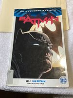 Front cover of the graphic novel showing Batman's face and large bat symbol behind him.