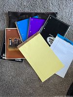 Photo showing 9 notebooks and notepads fanned out on floor with leather zip bag behind them