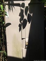 Front view of the resin garden storage shed showing double doors with a latch and shadow from nearby foliage.