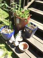 Photo of multiple gardening pots of varying colors and sizes with plants inside along with garden gnome decor placed on wooden stairs.