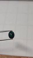 Natural oval cabochon black opal held by tweezers, showing green flashes in dark black base.
