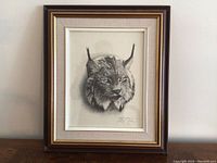 Framed art piece showing a detailed sketch of a bobcat's head signed by Casson.