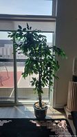 61 inch tall faux leafy plant in black pot with white decorative rocks, placed near window.