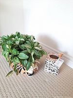 Ceramic leopard-shaped plant pot with faux variegated green leaves on carpeted floor