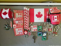 Photo showing assorted Canadian logo items including keychains, pens, pencils, a cooler sleeve, maple leaf wristband, and small Canadian flag