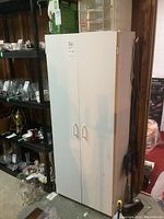 Full front view of white utility cabinet with closed double doors in basement setting.