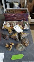Overview of all vintage door knobs and hardware pieces displayed on a table with a metal tray and a storage container in the background