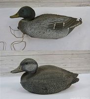 Two vintage plastic hunting duck decoys, mallard and black variants, shown from side angles with realistic painted features and metal hooks attached.