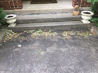 Wide view showing two concrete urn planters placed symmetrically on either side of an outdoor step.