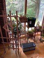 Wide view of plants in pots on stands near window, wooden trellis leaning against plant stands, and metal rectangular planter on floor.