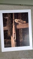 Full view of the Barn Owl print showing the owl perched on a wooden beam with barn elements around.