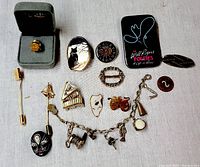 Image showing all jewelry pieces laid out, including charm bracelet with multiple charms, pins with various designs including cat, piano, theatrical mask, and a lapel pin in a box.