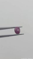 Oval cabochon natural red star ruby held with tweezers showing the star effect and polished surface.