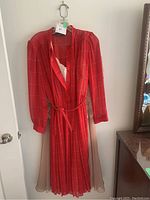 Full view of red vintage dress hanging on door with slips underneath